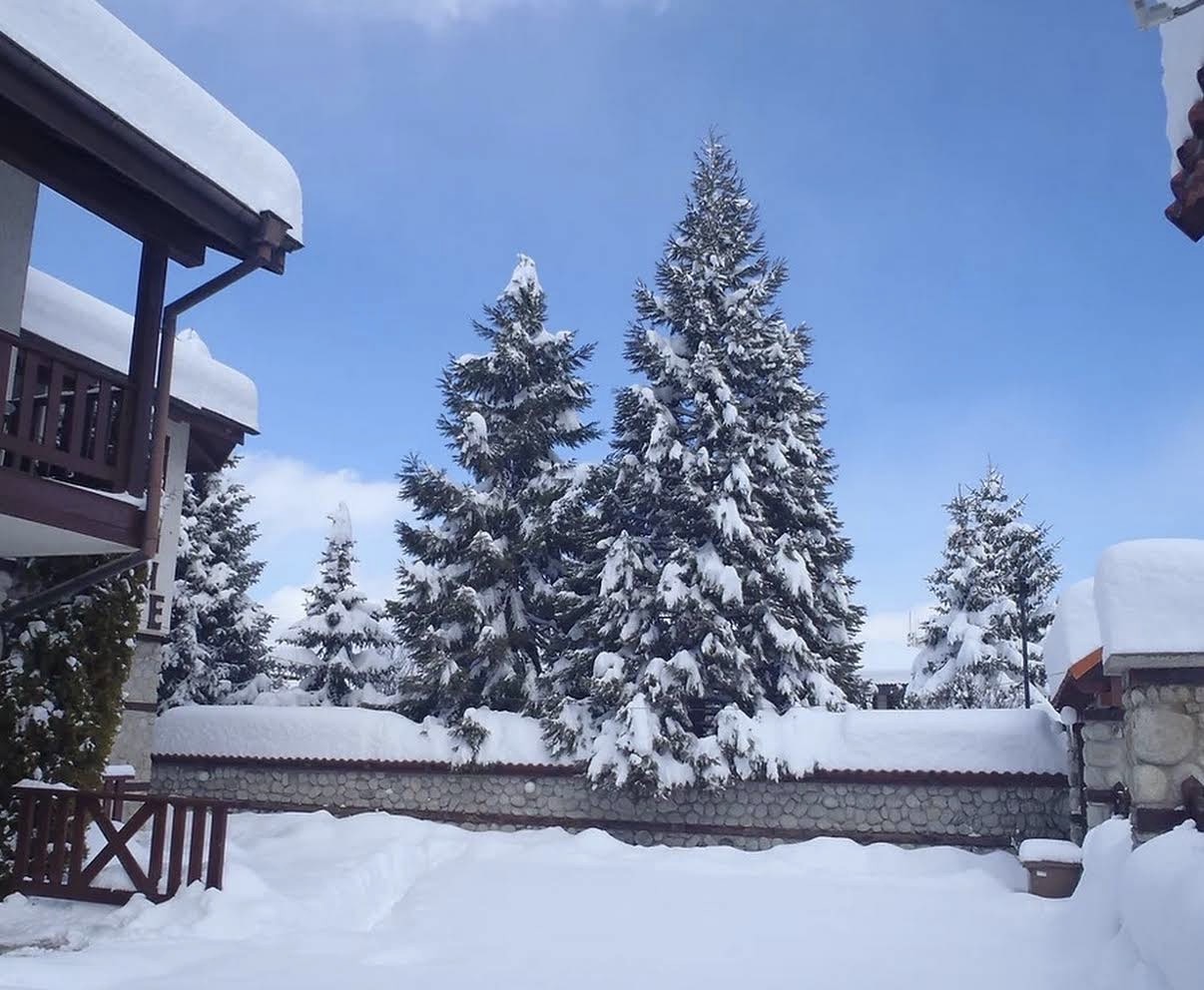 Der stille Wintergarten — Premium Villa Tode, Bansko